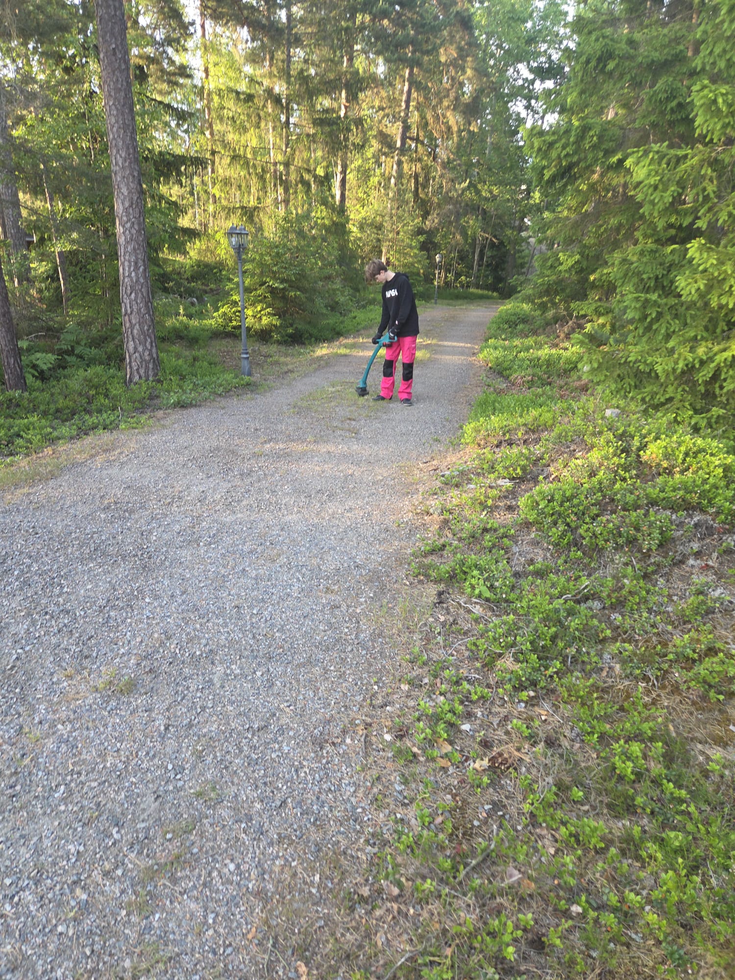 Ungdom trimmar kanterna längs grusväg i skogen