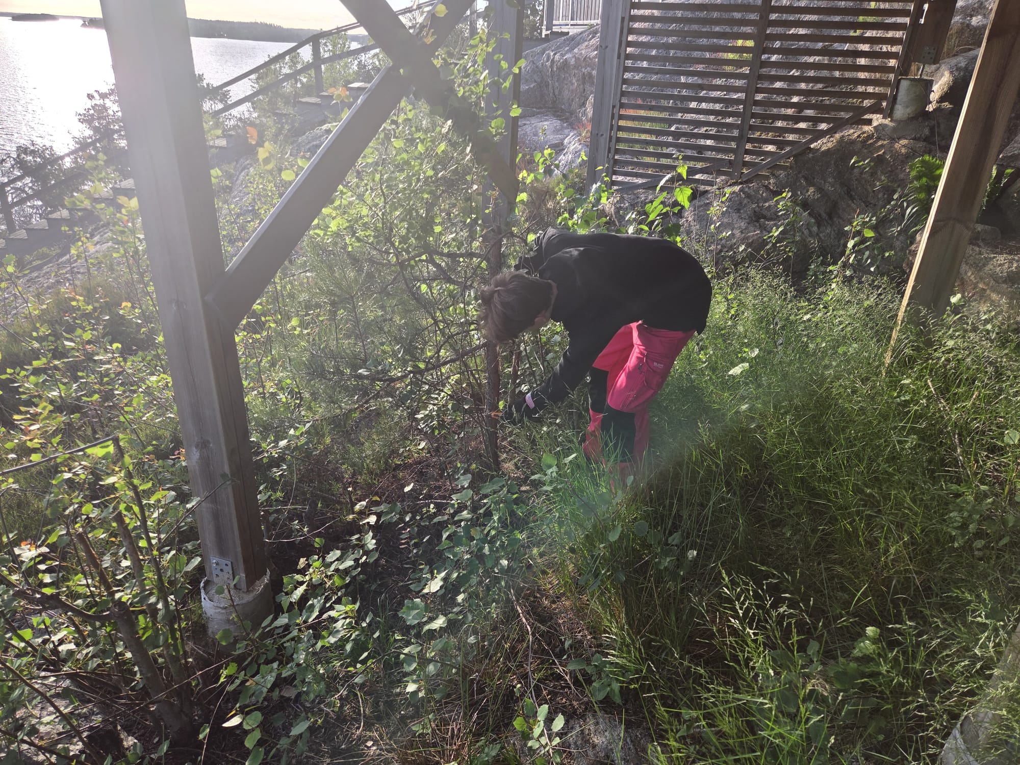 Ungdom rensar sly och gräs under altan vid vattnet