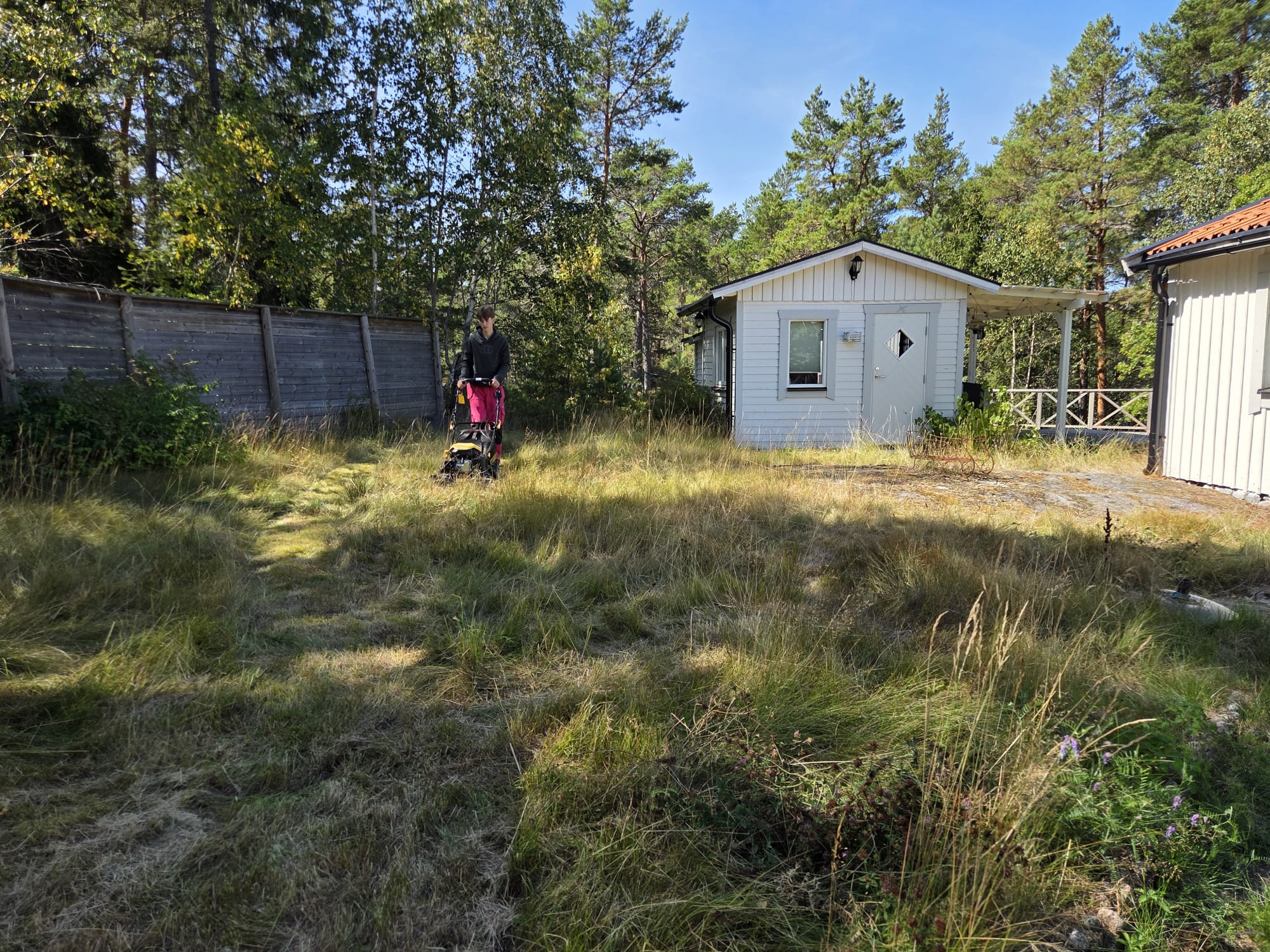 Gräsklippning av högt gräs vid stuga på Värmdö