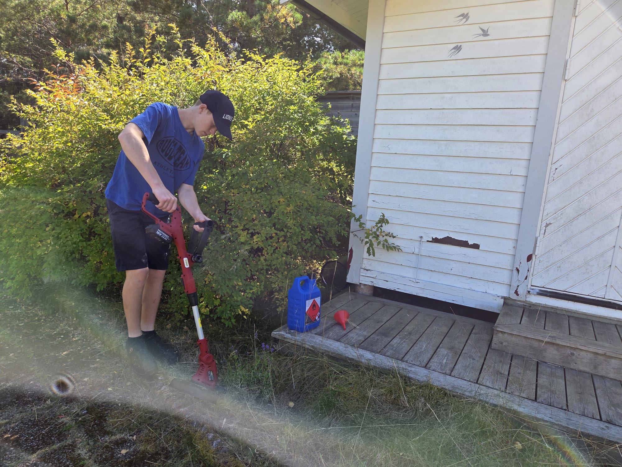 Trimning av gräs kring husgrund med grästrimmer
